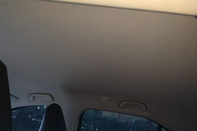 Used NETA U 2021 Pro 400 Cruiser Edition Headliner