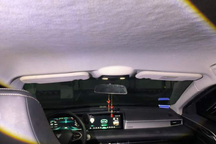 Used NETA U 2021 Pro 400 Cruiser Edition Headliner