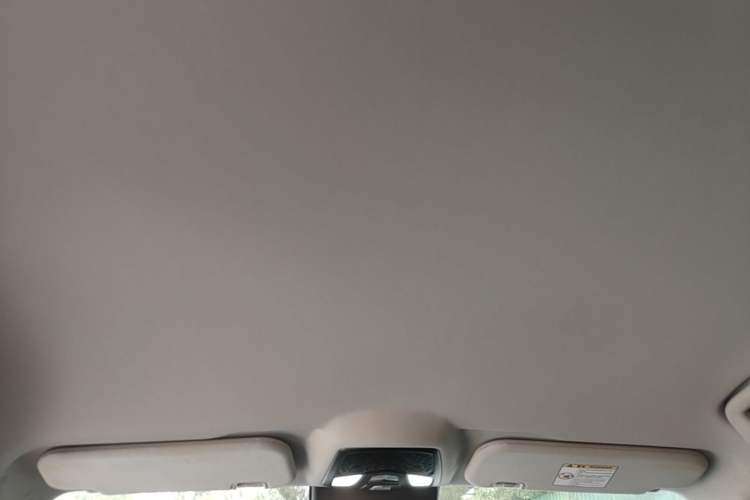 Used NETA U 2021 Pro 500 Deluxe Driving Edition Headliner