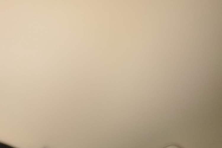 Used NETA U 2021 Pro 400 Cruiser Edition Headliner