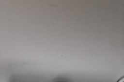 Thumbnail 19