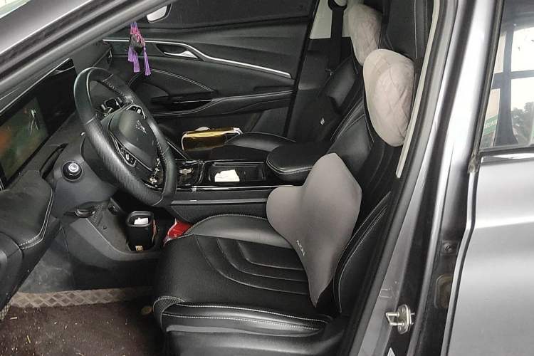 Used NETA U 2021 Pro 500 Global Edition Left Front Seat