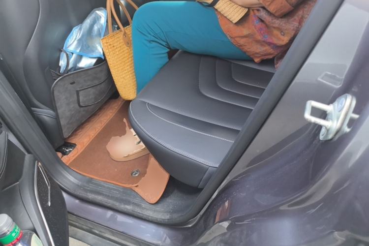 Used NETA U 2021 Pro 500 Lunar Edition Left Rear Seat