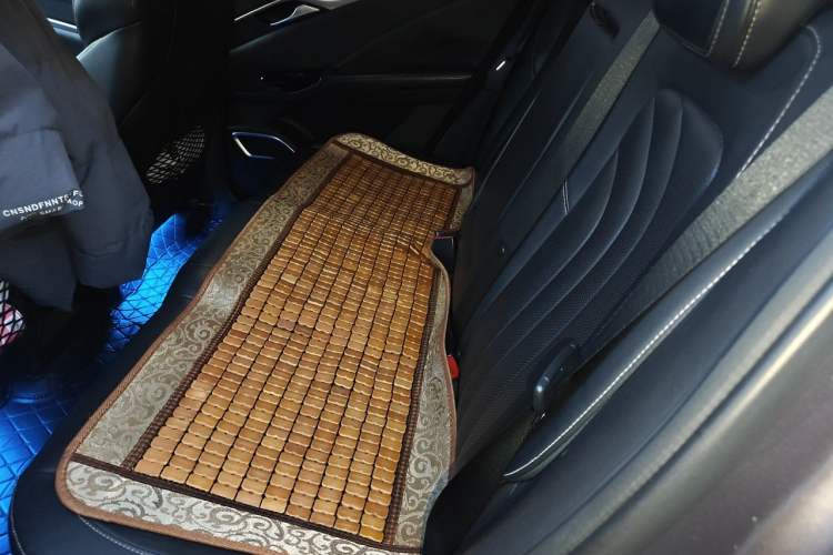 Used NETA U 2021 Pro 400 Industry Custom Edition Left Rear Seat
