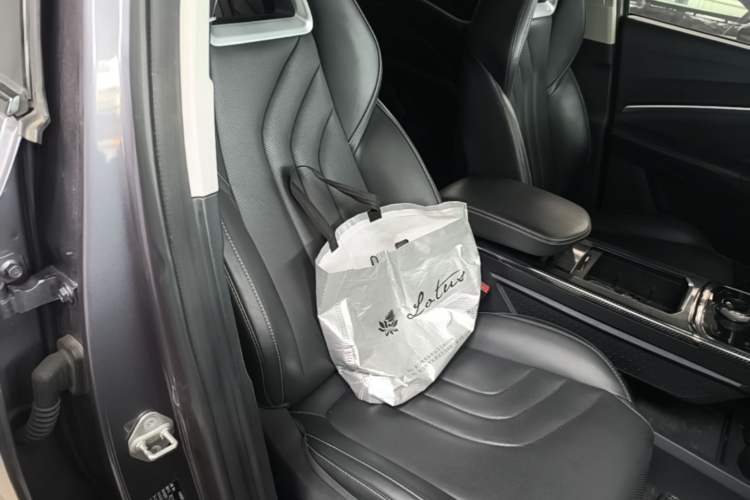 Used NETA U 2021 Pro 500 Global Edition Right Front Seat