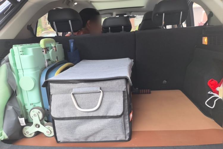 Used NETA U 2021 Pro 500 Lunar Edition Trunk