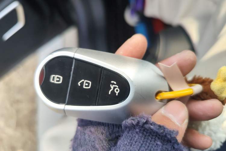 Used NETA U 2021 Pro 400 Cruiser Edition Vehicle Key