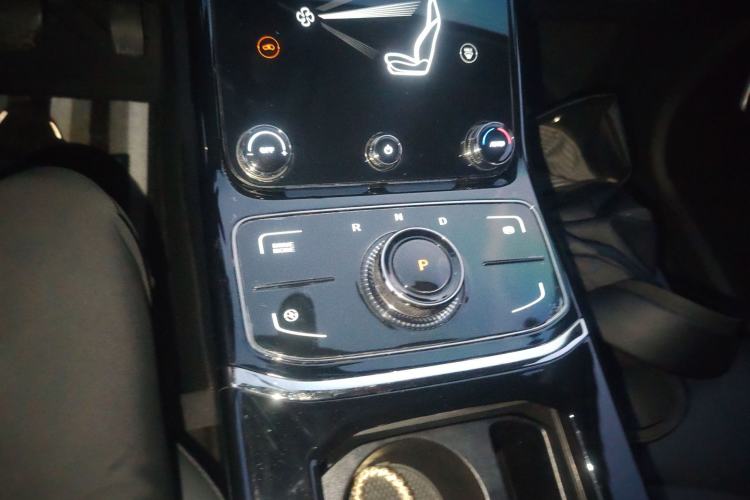 Used NETA U 2021 Pro 400 Premium Driving Edition Gear Lever