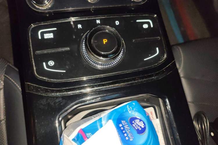 Used NETA U 2021 Pro 400 Premium Driving Edition Gear Lever