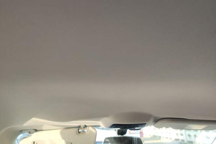 Used NETA U 2021 Pro 400 Cruiser Edition Headliner