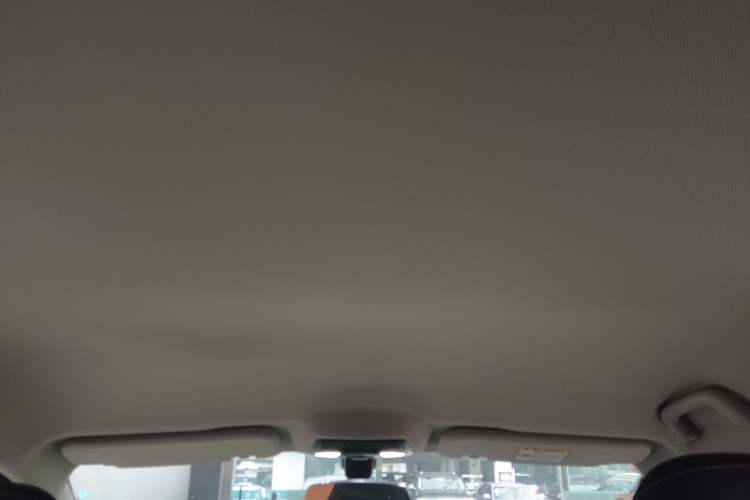 Used NETA U 2021 Pro 400 Cruiser Edition Headliner