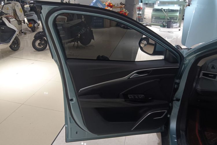 Used NETA U 2021 Pro 400 Cruiser Edition Left Front Door Interior