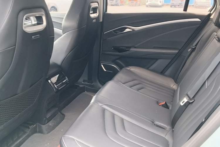 Used NETA U 2021 Pro 500 Global Edition Left Rear Seat