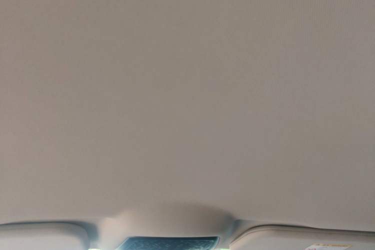 Used NETA U 2021 Pro 400 Industry Custom Edition Headliner