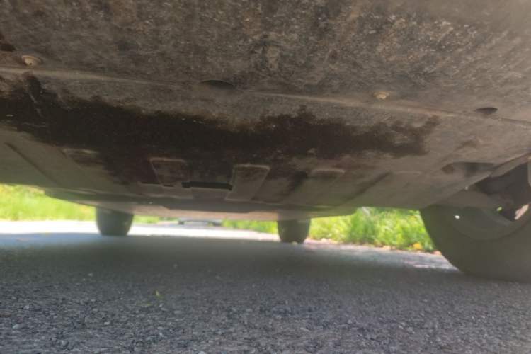 Used NETA U 2021 Pro 400 Cruiser Edition Chassis Front