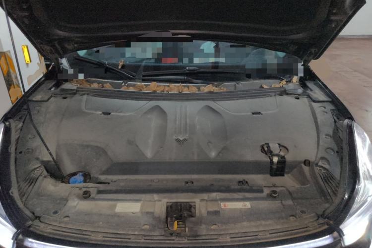 Used NETA U 2021 Pro 500 Lunar Edition Engine Bay
