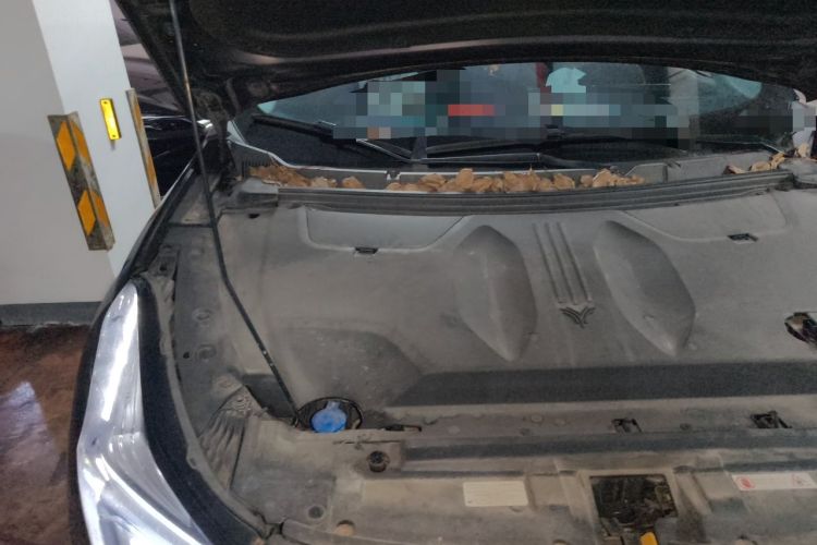 Used NETA U 2021 Pro 500 Lunar Edition Engine Bay Right