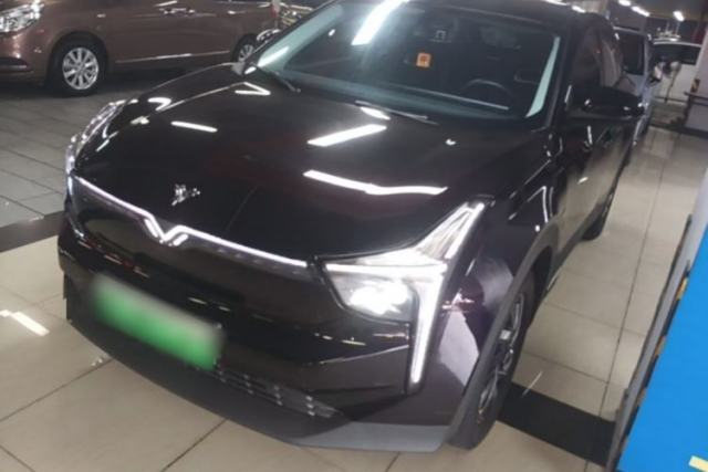 Used NETA U 2021 Pro 400 Cruiser Edition