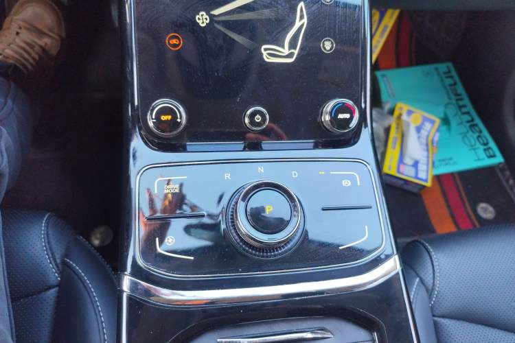 Used NETA U 2021 Pro 400 Cruiser Edition Gear Lever