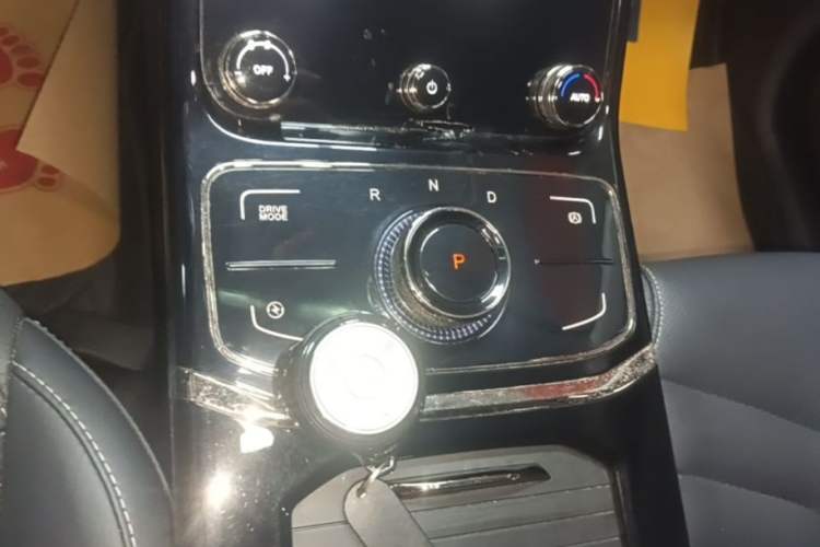 Used NETA U 2021 Pro 400 Cruiser Edition Gear Lever