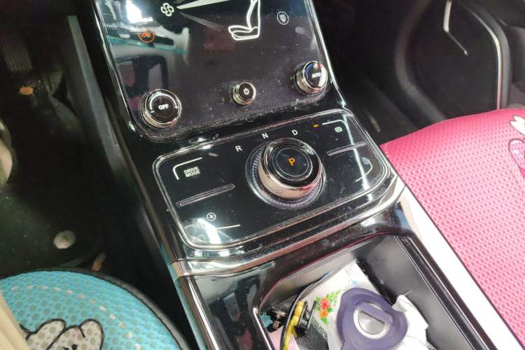 Used NETA U 2021 Pro 400 Cruiser Edition Gear Lever