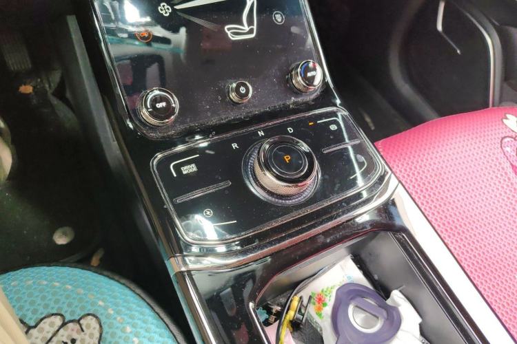 Used NETA U 2021 Pro 400 Cruiser Edition Gear Lever