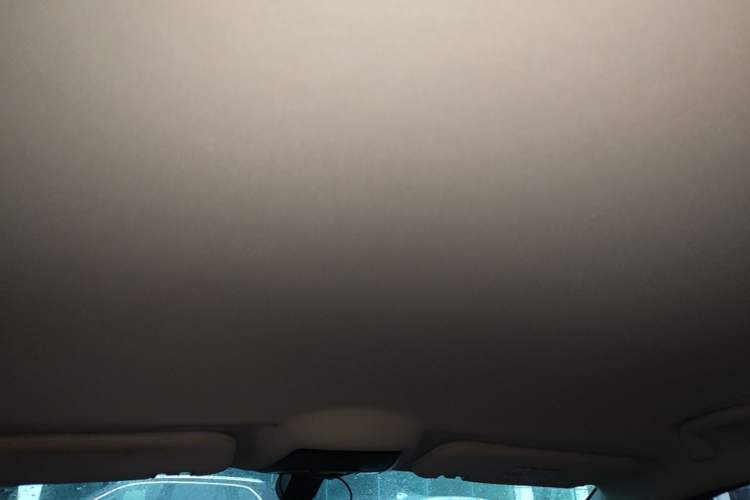 Used NETA U 2021 Pro 400 Cruiser Edition Headliner