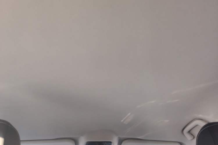 Used NETA U 2021 Pro 400 Cruiser Edition Headliner