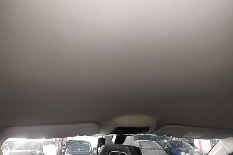 Used NETA U 2021 Pro 400 Cruiser Edition Headliner