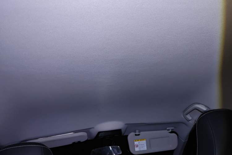 Used NETA U 2021 Pro 400 Cruiser Edition Headliner