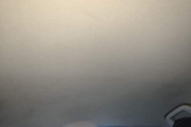Used NETA U 2021 Revised Pro 400 Premium Driving Edition Headliner