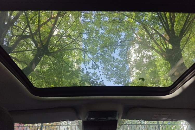 Used NETA U 2021 Pro 610 Fire-Seeking Edition Headliner