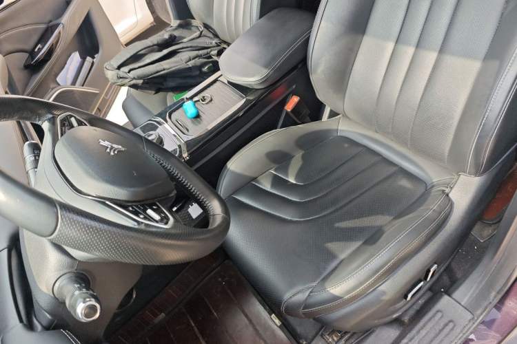 Used NETA U 2021 Pro 500 Lunar Edition Left Front Seat