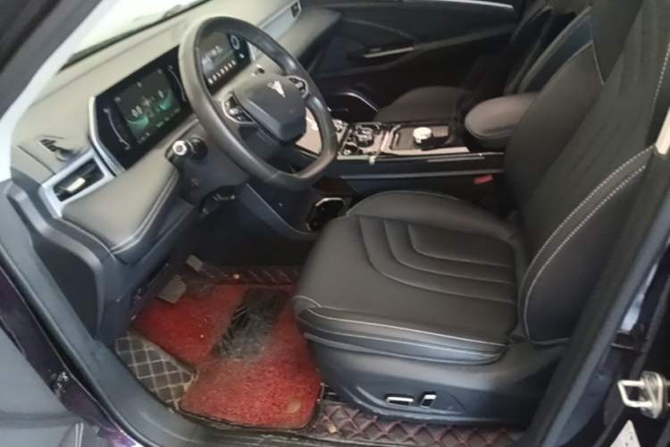 Used NETA U 2021 Pro 400 Cruiser Edition Left Front Seat
