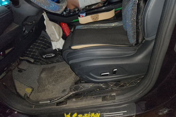 Used NETA U 2021 Pro 500 Lunar Edition Left Front Seat