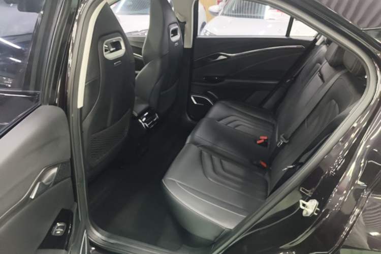 Used NETA U 2021 Pro 500 Lunar Edition Left Rear Seat