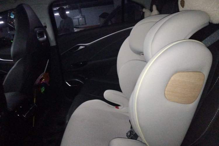 Used NETA U 2021 Pro 500 Global Edition Left Rear Seat