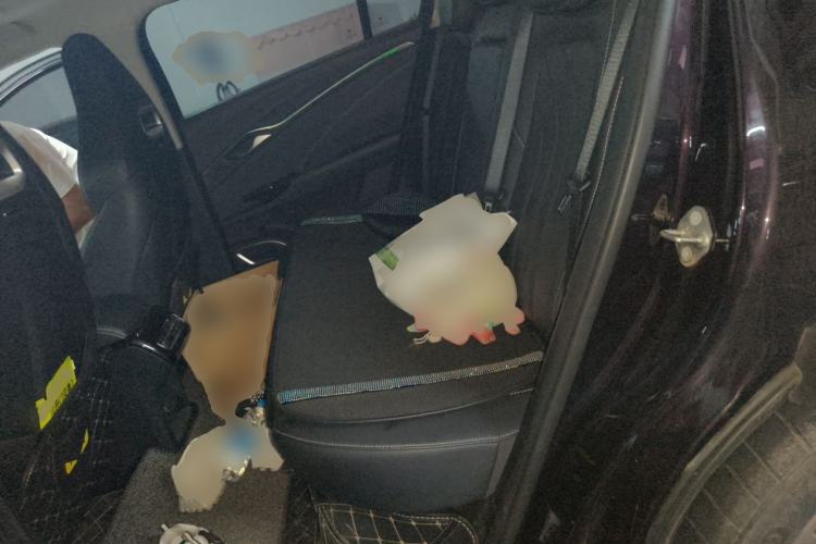 Used NETA U 2021 Pro 500 Lunar Edition Left Rear Seat