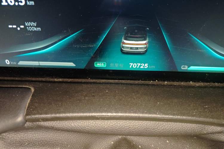 Used NETA U 2021 Pro 500 Lunar Edition Odometer Close Up