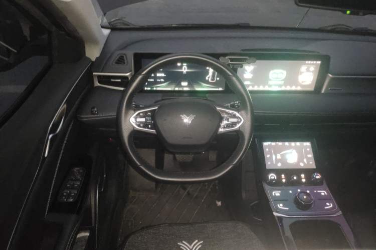 Used NETA U 2021 Pro 500 Lunar Edition Steering Wheel