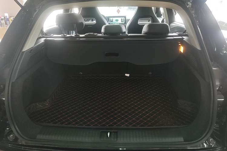 Used NETA U 2021 Pro 400 Cruiser Edition Trunk