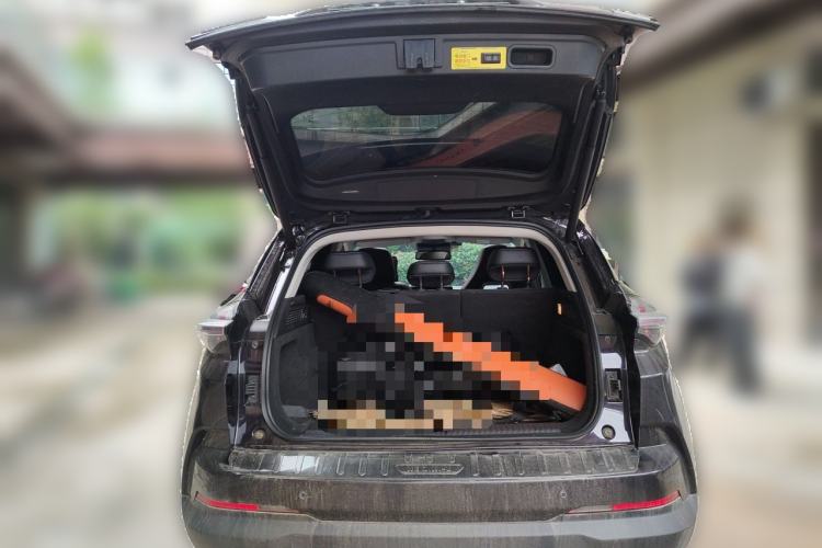 Used NETA U 2021 Pro 500 Lunar Edition Trunk