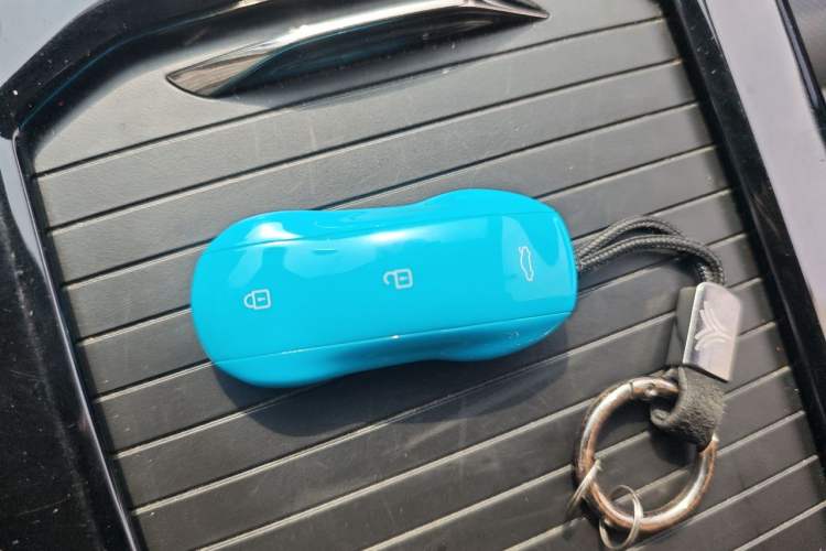 Used NETA U 2021 Pro 500 Lunar Edition Vehicle Key