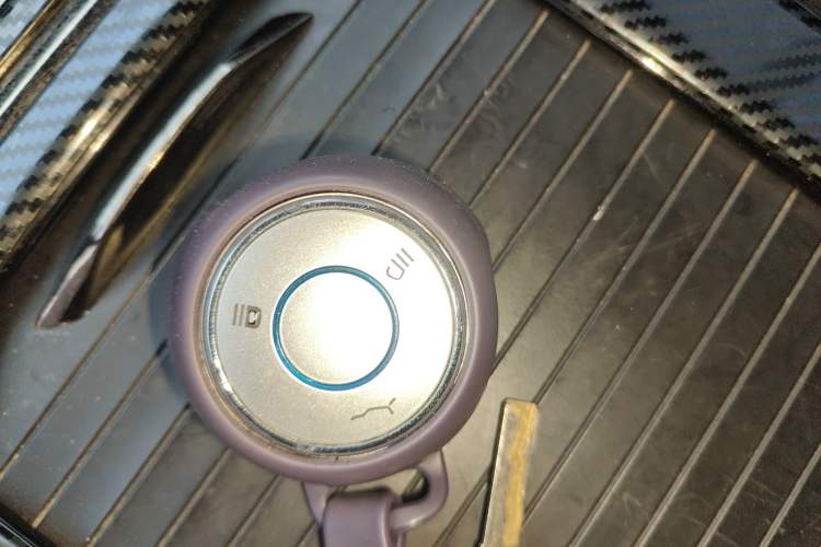 Used NETA U 2021 Pro 500 Global Edition Vehicle Key