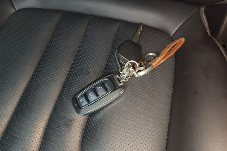 Used NETA U 2021 Pro 500 Global Edition Vehicle Key
