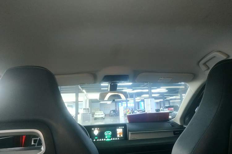 Used NETA U 2021 Pro 400 Premium Driving Edition Headliner