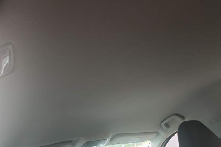 Used NETA U 2021 Pro 500 Industry Custom Edition Headliner