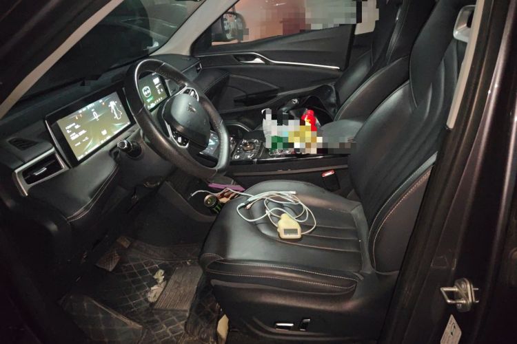 Used NETA U 2021 Pro 500 Lunar Edition Left Front Seat