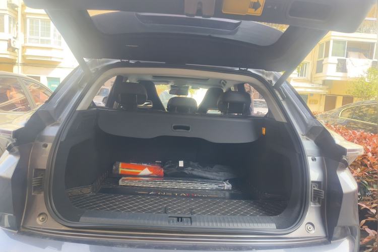Used NETA U 2021 Pro 500 Lunar Edition Trunk