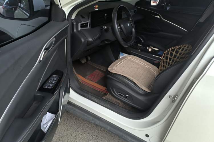 Used NETA U 2021 Revised Pro 400 Premium Driving Edition Driver Seat